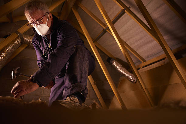 Best Specialty Insulation in Tton, IL